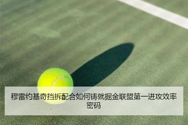 穆雷约基奇挡拆配合如何铸就掘金联盟第一进攻效率密码